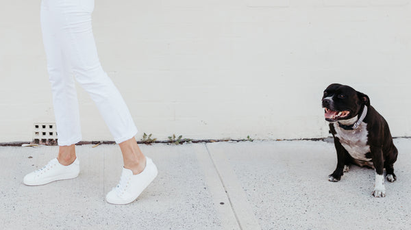 WALKING IN STYLE // IN PARTNERSHIP WITH MOSMAN VET