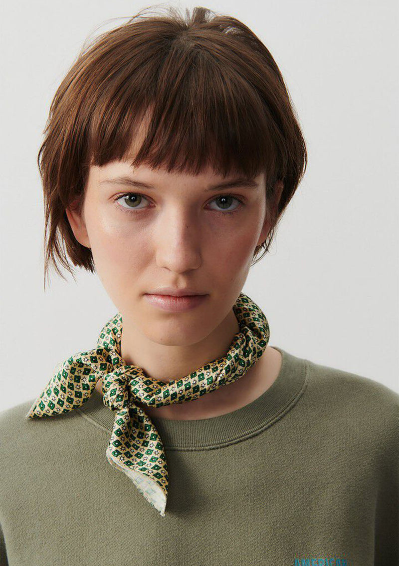 American Vintage Izubird Sweatshirt