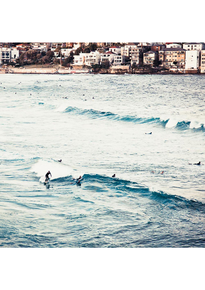 Bird & Knoll Bondi | Dusk Surf