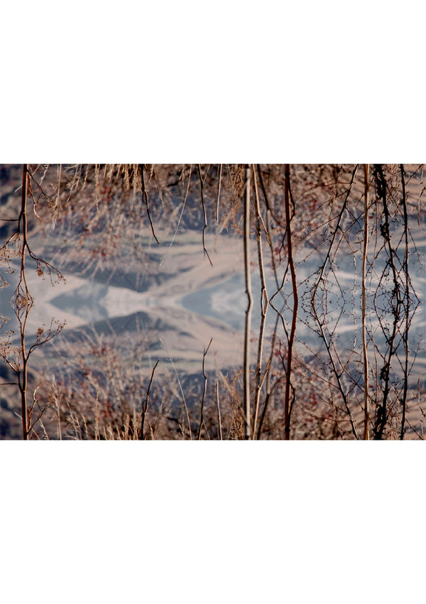 Good & Co | The Remarkables Wool Scarf