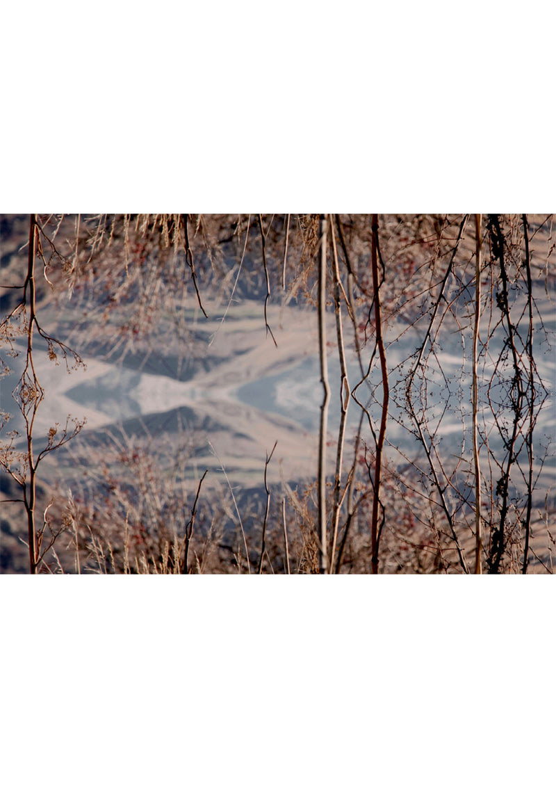 Good & Co | The Remarkables Wool Scarf