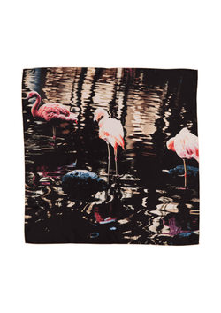 Bird & Knoll Hawaii | Flamingo Pose